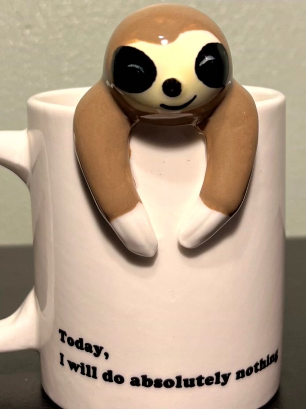 Decodyne 3D Sloth TODAY I WILL DO ABSOLUTELY NOTHING Lazy Day Novelty Coffee Mug